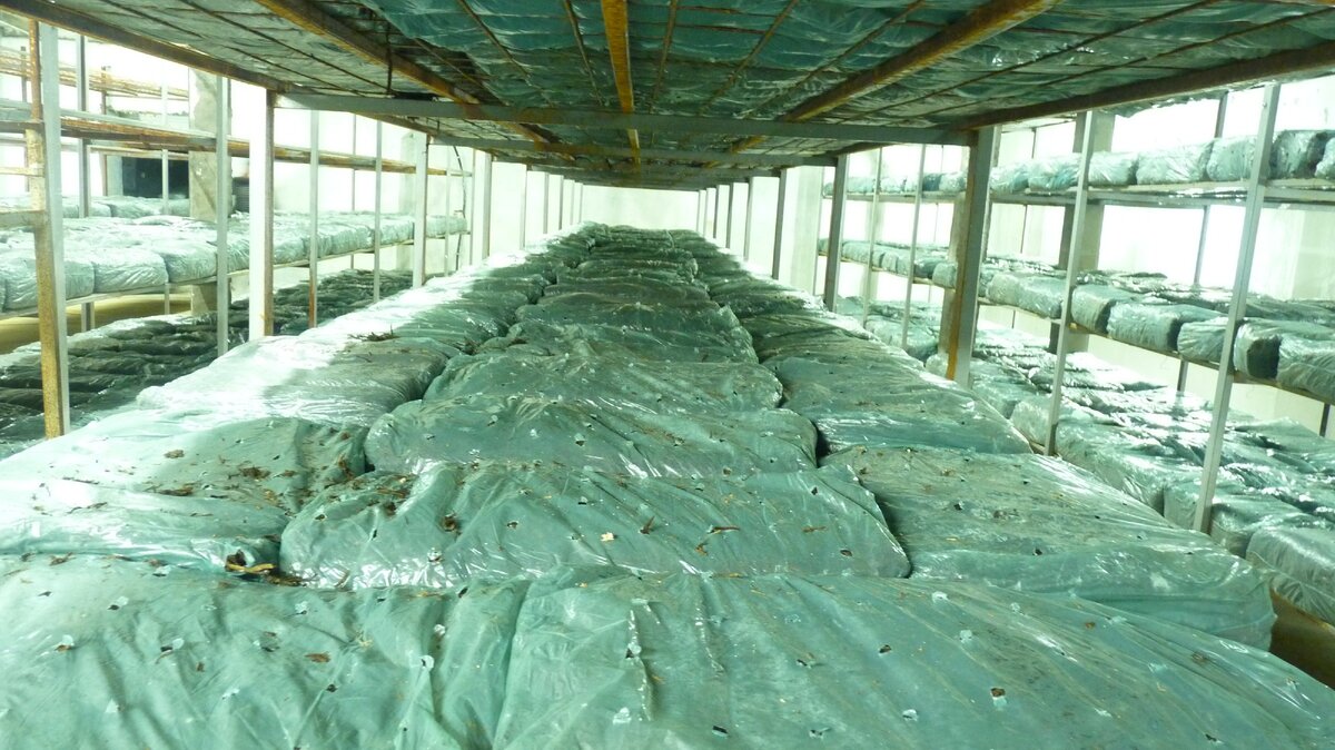 Брикеты уложены перфорацией вверх