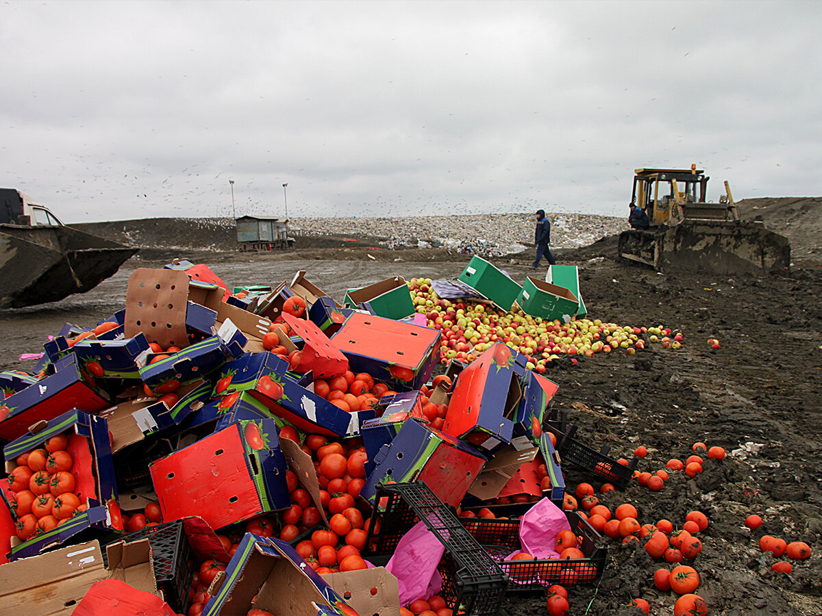 уничтожение санкционных продуктов. уничтожении продуктов. уничтожение продуктов. давка санкционных продуктов. уничтожении продуктов.