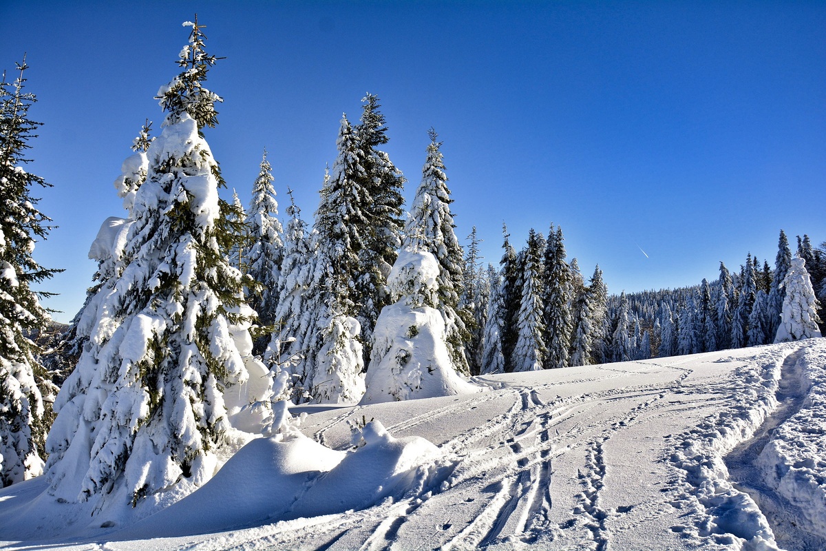 Источник - https://pixabay.com/ru/photos/зима-горы-снег-зимняя-фрост-3950184