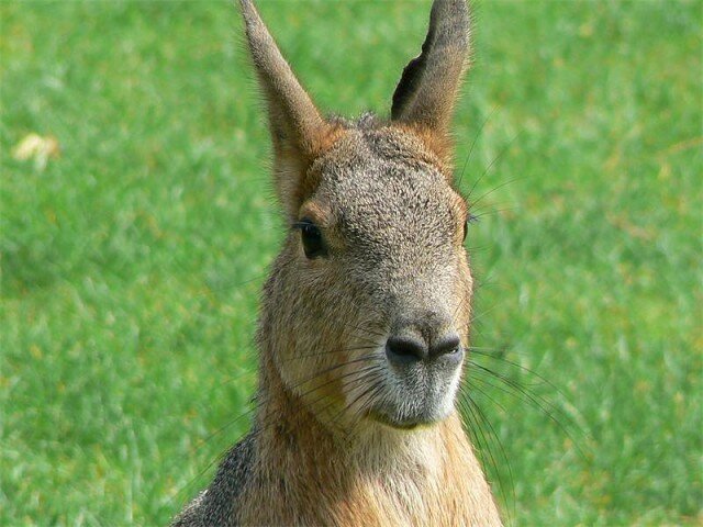  Источник: vk.com