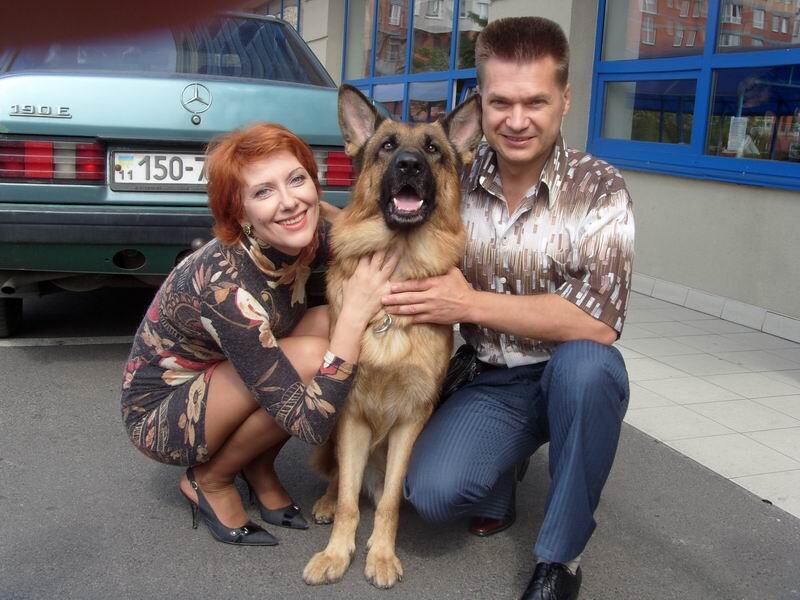 Возвращение Мухтара.