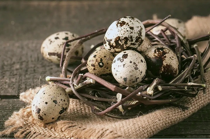 Перепелиные яйца 