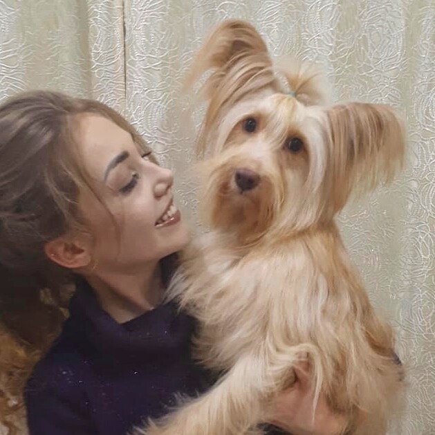 Домашняя Роза❤️
