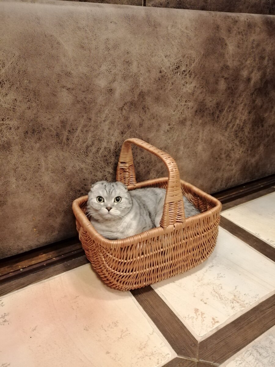 Фото Елена Быстрова