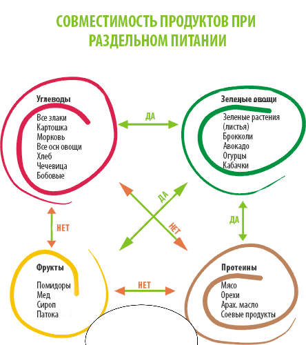 Раздельное питание таблица совместимости продуктов