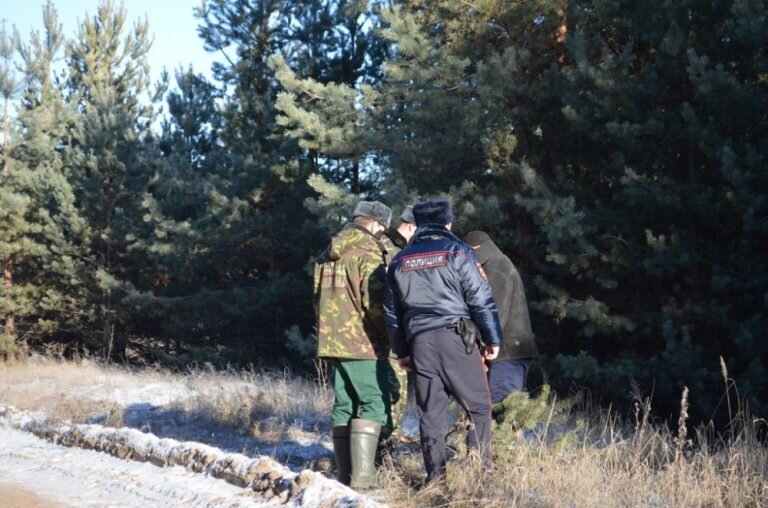 Яндекс-картинки