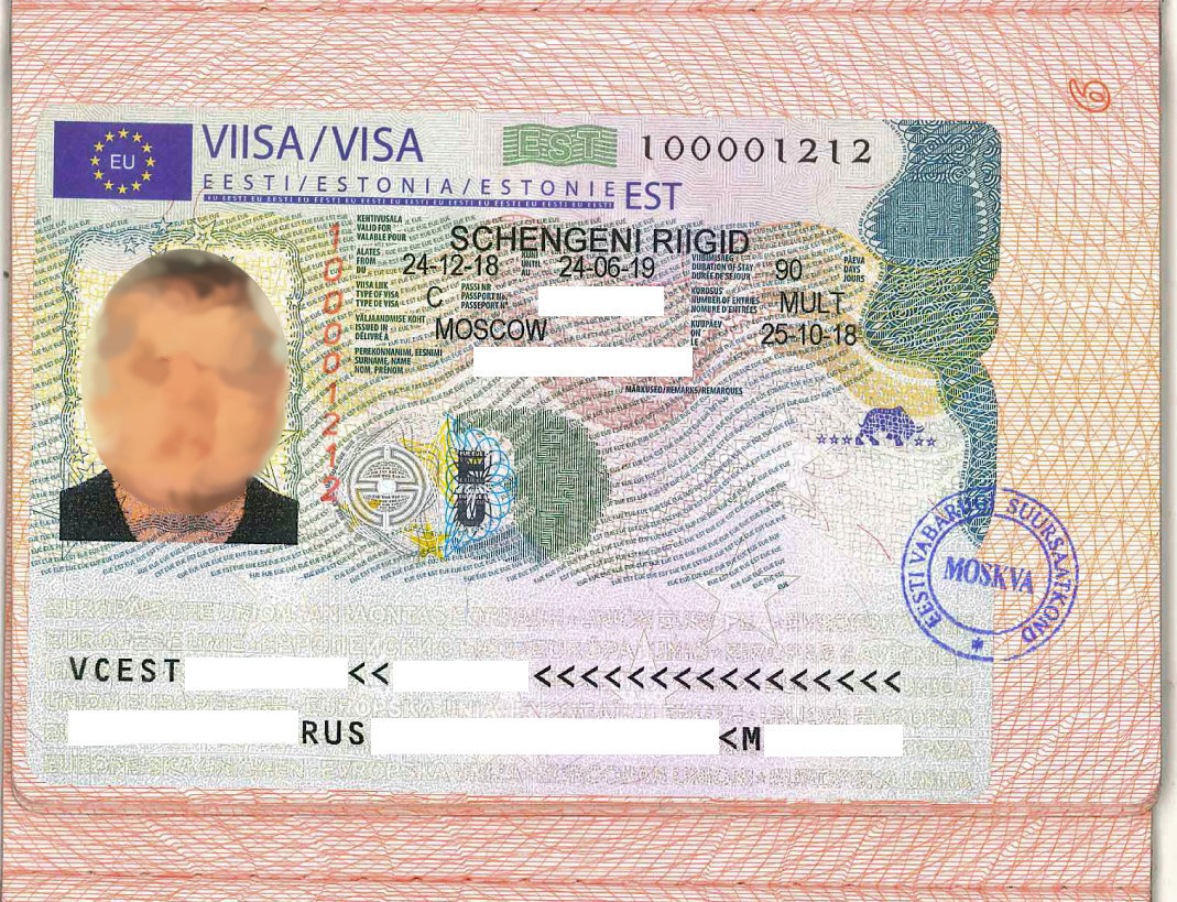 Максимальный срок визы. Шенгенская виза. Немецкая виза. Как выглядит шенгенская виза. Новая шенгенская виза.