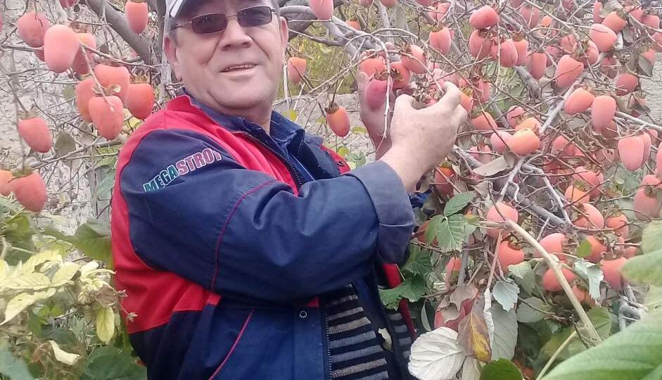 Этот плод называют пищей богов ( о хурме)