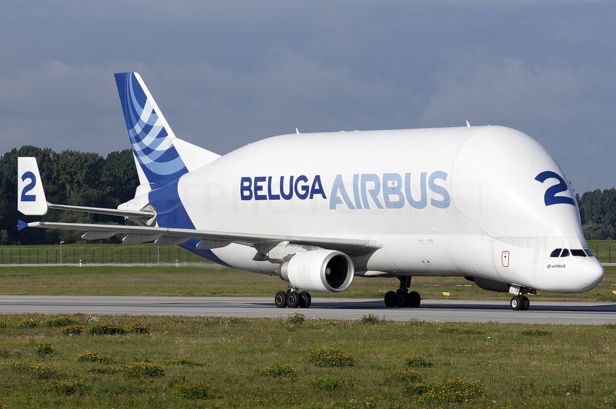 Белуха (Листайте)