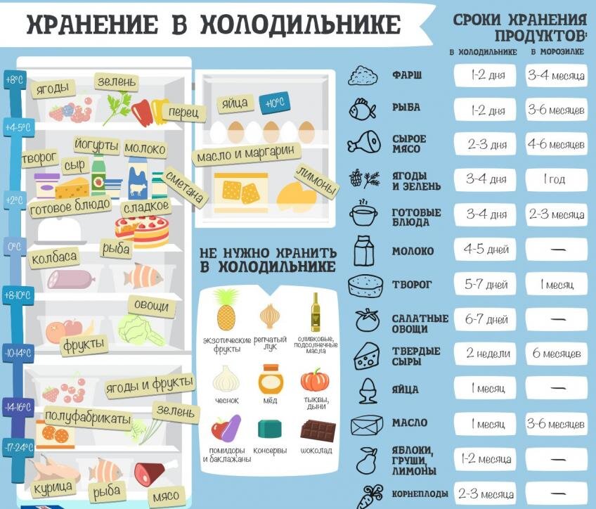 Как правильно хранить продукты в холодильнике на каких полках схема