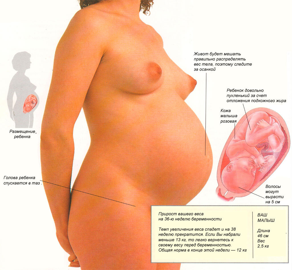 https://baby103.com/36-неделя-беременности-что-происходит-с/