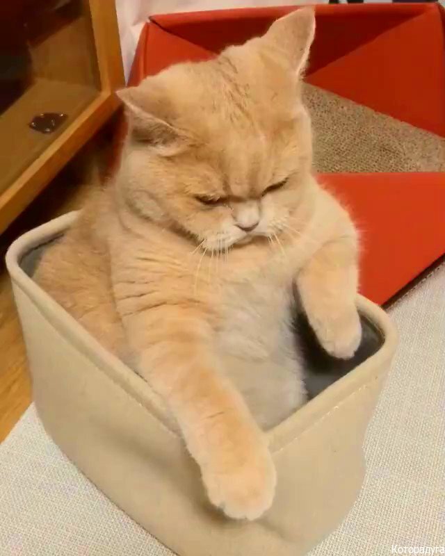 Источник: pinterest.com