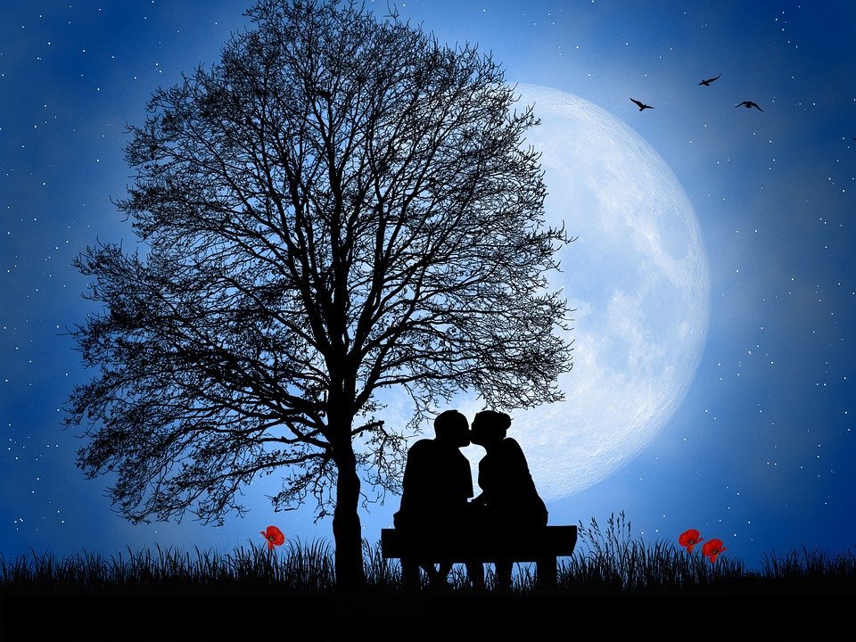 Источник изображения pixabay.