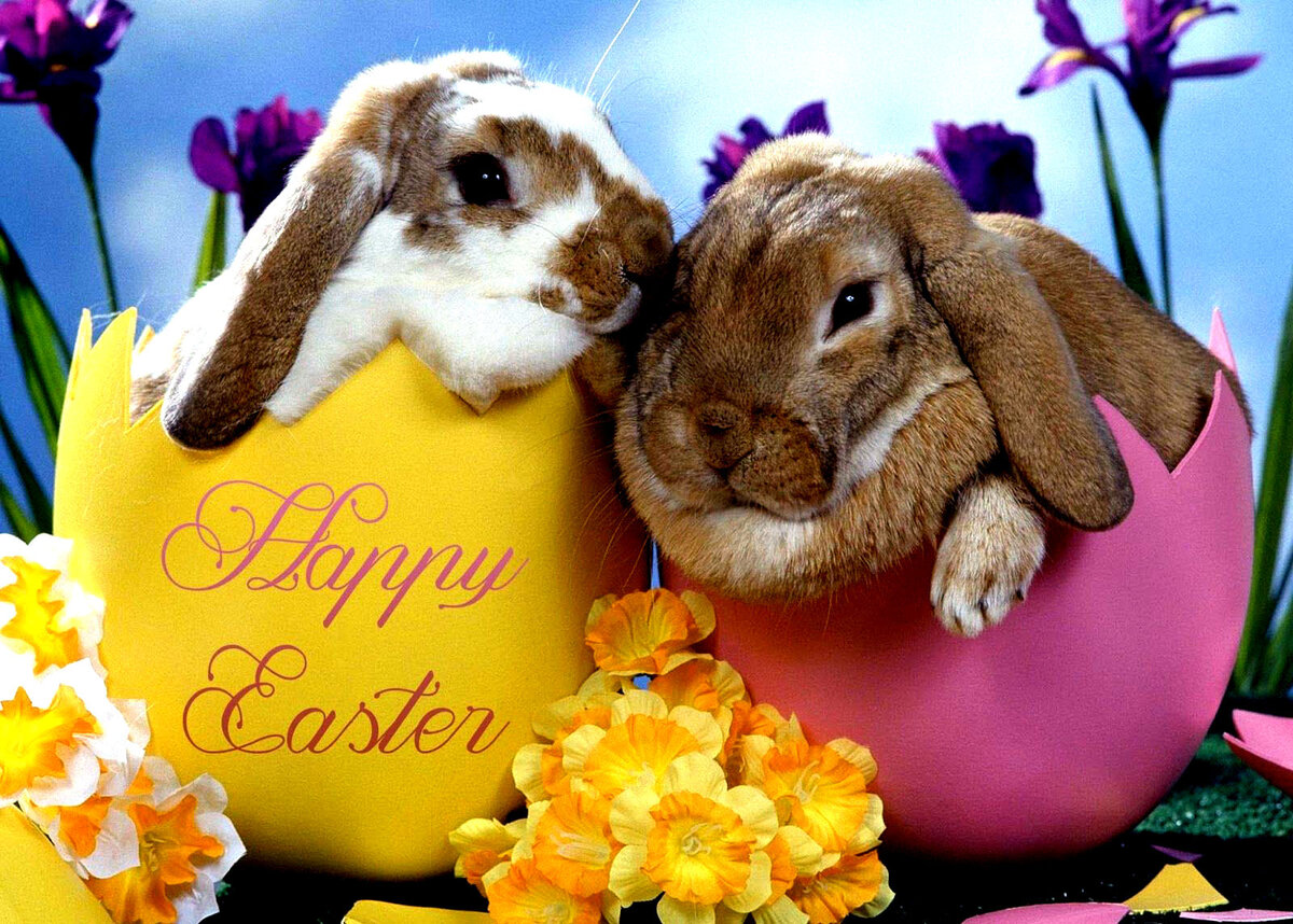 HAPPY   EASTER  FOR  EVERYBODY  !!!