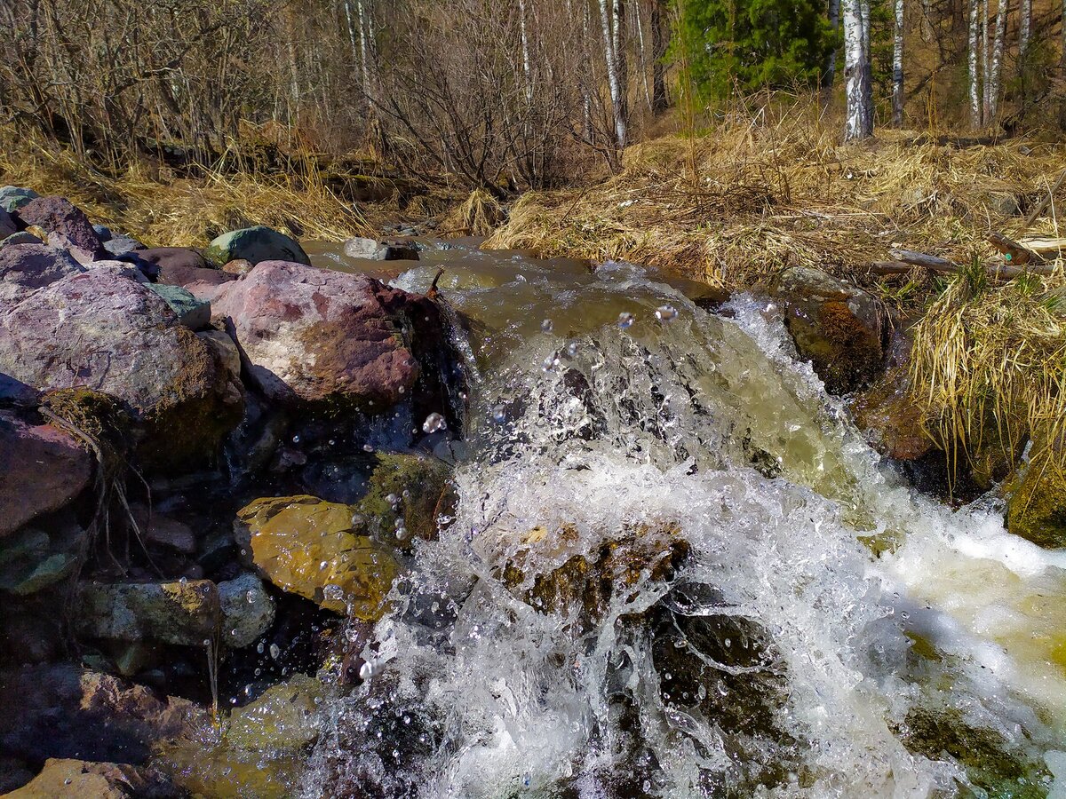
Весной притоки Телецкого, из маленьких ручейков с прозрачной водой превращаются в ревущие реки, бурным мутным потоком несущие в озеро минеральные вещества (цвет придает глинозем) и органику. Этот цикл повторяется из года в год, а вид весенних алтайских речек знаком почти каждому. Мы же предлагаем взглянуть на реку Ок-порок с необычных ракурсов и посмотреть, как она выглядит под водой и с высоты. 