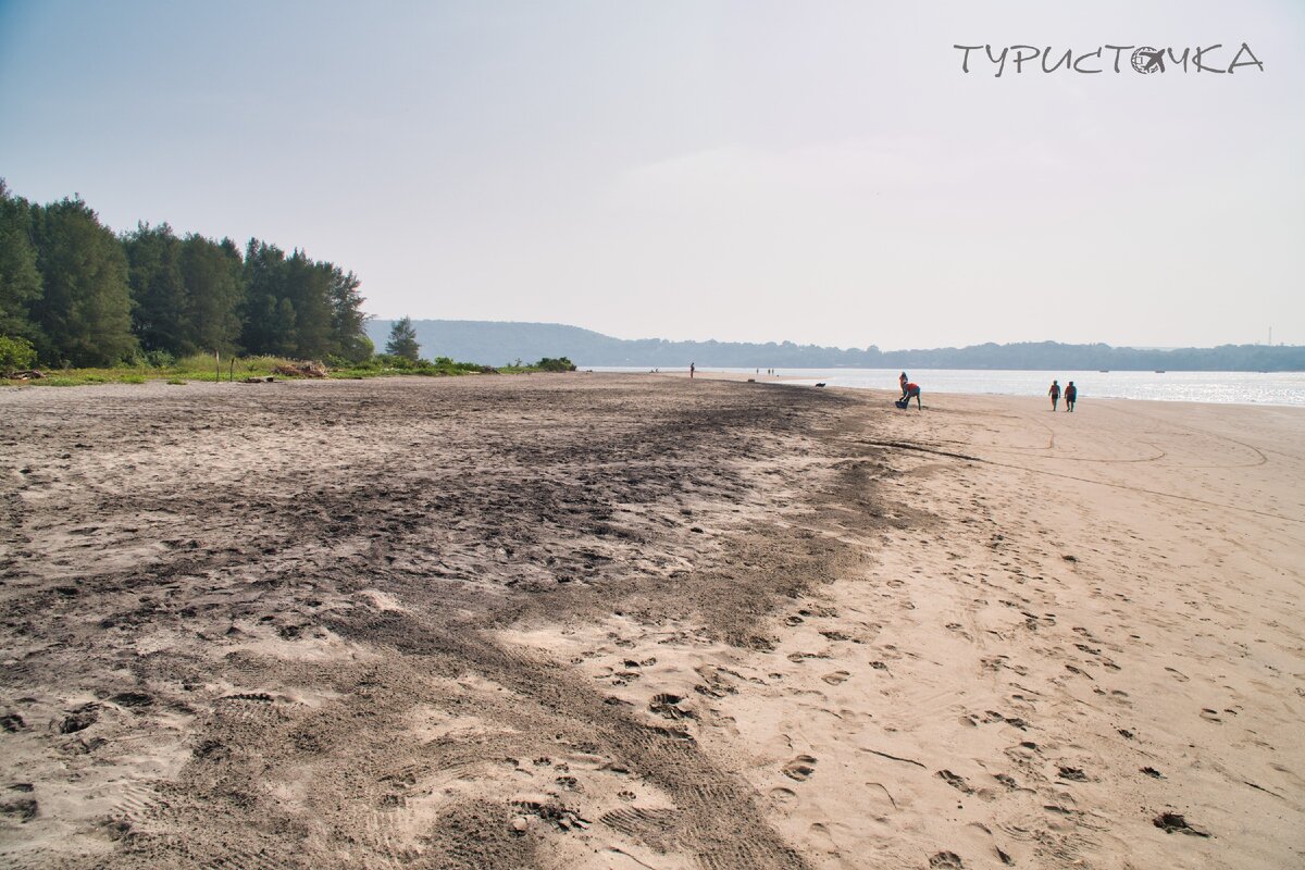 Черепаший пляж в Морджиме (Гоа) в декабре 2019: люди есть, черепах - нет