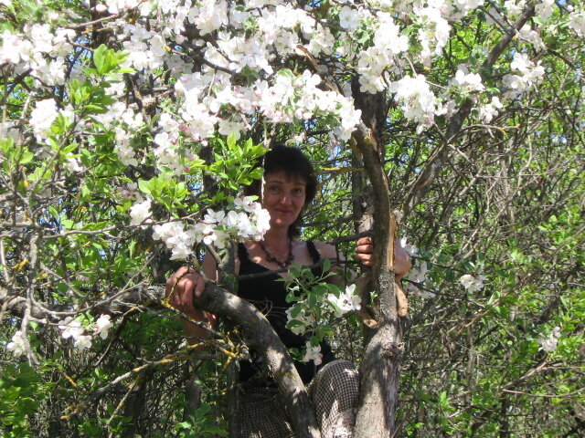 программа на любовь, добро, блага 