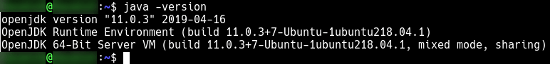 java -version