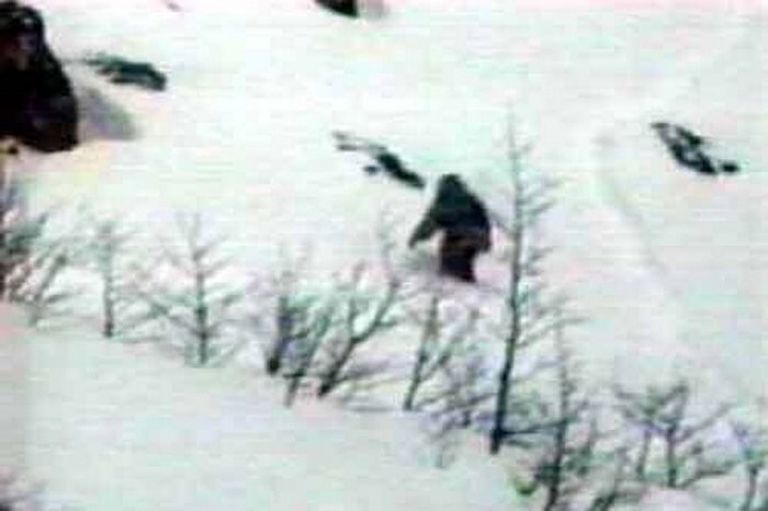 Фото из интернета:  https://go.mail.ru/search_images