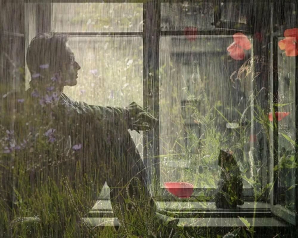 источник - просторы интернета