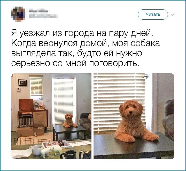 © Max Miller / twitter  