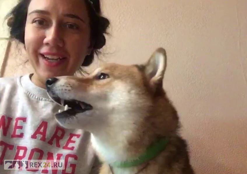 Фото: скриншот из видео