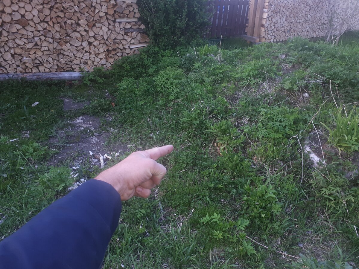 Вот тут можно было бы "закопаться"!)) Или с другой стороны бугра