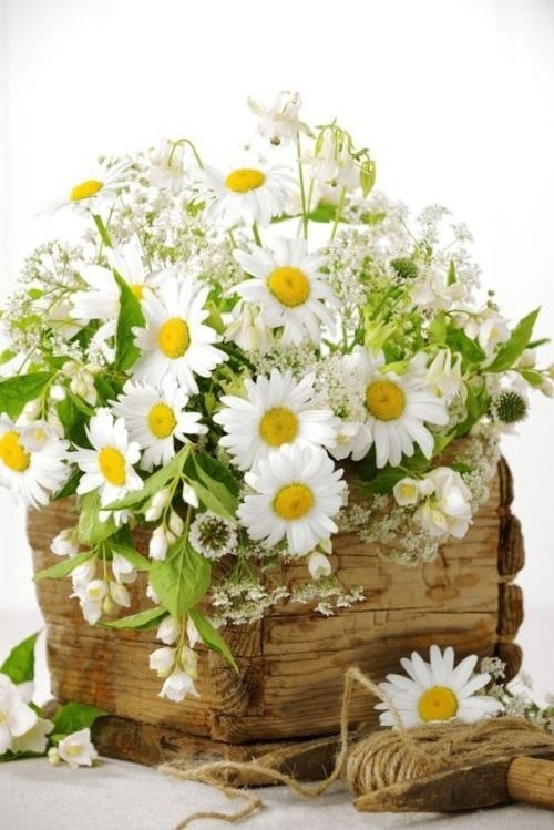           Димкина люстра.
  Говорят, мудрость приходит с годами - только вот смогу ли я эту мудрость, приобретенную в течение жизни, применить? Успею ли?...
  Димку я увидела впервые на рынке. Он торговал строительными материалами. А мне, как всегда одинокой и самостоятельной женщине, надо было выбрать люстру. Купить люстру, это полная ерунда, думала я. Вот повестить ее – это для меня была проблема. И появилась дилемма – купить люстру и искать мастера, который повесит люстру или не покупать люстру, но тогда будет висеть шнурок с лампочкой Ильича.
  Я уже выбрала люстру и застыла, глядя на нее, думая, кого же позвать ее повесить. Как вдруг я поняла, что за моей спиной кто-то стоит и смотрит на меня в упор. Я медленно развернулась и увидела его глаза. Он не смутился, не ушел. Он просто стоял и ждал, разглядывая меня. Молодой, сильный, уверенный в себе. Что-то тигриное было в нем. Казалось еще немного и он кинется на свою жертву. Глаза просто сверкали от страсти.
  Мне стало не уютно. Я направилась к выходу, забыв о люстре. Он так сверлил меня своими глазами, что мне стало неловко.
-Эту? – раздался мужской хрипловатый голос, который остановил меня. И я обернулась. Он держал в руке ту самую люстру, пристально разглядывая меня.
-Простите? 
-Вы выбрали эту люстру? – он медленно приближался ко мне с люстрой в руке. 
-Да, - робко ответила я. У меня начались трястись колени. Я отступала…
-Куда вам ее привезти? – спросил Димка.
-Не стоит… Благодарю!
-Выберите другую, - предложил он.
-Дело не в люстре, - я собралась и взяла себя в руки. 
-А в чем?
-Ее не кому будет повесить на место. 
-Хотите, я сам ее привезу и повешу.
-Нет, это неудобно. Я еще не готова. Простите, я лучше пойду, - решительно сказала я и направилась снова к выходу.
-Что вас смущает? – не отступал хозяин магазина.
-Нет, это неудобно. Хорошего дня.
-Стоять! – услышала я за спиной, так и не успев дойти до двери. 
-Я же …
-Адрес? – строго спросил Дима. Лицо его было настолько серьезным, что мне хотелось бежать! 
  Не знаю, что на меня тогда нашло, но я подчинилась и выпалила название улицы и номер дома. Димка потребовал еще и телефон. Я на автомате диктовала ему цифры. Я сказала ему свое имя. А он все смотрел на меня, как удав на кролика. 
-Вечером привезу, - сказал Дима и меня, как будто отпустило из оков. 
-Хорошо. Сколько я должна?
-Потом, - сказал Дима и положил люстру в коробку. 
-Как это потом? – вдруг возмутилась я.
-Вечером привезу, скажу.
-Я так не могу…
  В этот момент в магазин вошли несколько человек, громко и весело что-то обсуждая, и нам пришлось прервать разговор. Я воспользовалась этой заминкой и выскочила из павильона. Возвращаясь домой, я смутно понимала, что произошло. Я не очень верила, что Дима сможет привезти люстру и повесить ее. Но его глаза стояли передо мной еще долго.  Дома я отвлеклась, занимаясь своими делами, и почти забыла про люстру. И тут зазвонил телефон…
-Да, слушаю, - ответила я, как ни в чем не бывало.
-Добрый вечер. Это Дмитрий. Я привез люстру. Какой этаж?
-Ох…  - В голове промчались мысли ураганом. Неужели привез? Я не готова встретить. - Хорошо, поднимайтесь. Пятый.
  Димка сдержал свое слово и приехал. Меня снова окатило волной трепета. Такого еще не помню за собой. Я открыла дверь, и впустила его. Он вошел в квартиру, поставил коробку на пол, прошел в комнату и посмотрел на шнурок с лампой, усмехнулся, снял кроссовки и взялся мастерски за дело. Через минут двадцать люстра была на ее законном месте. Димка вкрутил лампочки, проверил, как она горит. Все было в порядке. Довольный собой и своей работой, он снова посмотрел на меня. 
-Готово, - сказал он. – Руки помыть можно?
-Да, конечно.
  Я провела его в ванную и оставила одного. Сама же направилась на кухню. Не хотелось мешать. Собрала на стол все, что было, и заварила чай. 
-Сколько я вам должна? – спросила я Димку, когда он вышел из ванной.
-Чашку чая нальете?
-Да, конечно. А денег сколько?
  Я направилась в прихожую за сумкой, в которой лежал кошелек, но Димка неожиданно схватил меня за руку и прижал к себе. Мы смотрели опять друг другу в глаза. Я попыталась вырваться, но он не отпускал меня. 
-Пусти, - как можно строго сказала я.
-Не могу. Весь день думаю о тебе, - от его голоса мурашки пробежали по моей спине.
-Вы сейчас нарушаете все правила приличия. Говорите, сколько денег и пора прощаться.
-Не могу, - прошептал Димка мне на ухо, покрывая мою шею поцелуями. – Сладкая, моя. Вкусно пахнешь… - Никогда не встречал таких, как ты.
-Вы пожалеете…
-Пожалею, если потеряю тебя. Не гони меня.
-Дмитрий! Я вас очень прошу… Не делайте этого, я вас прошу, - умаляла я Димку. Он поцелуем заставил меня замолчать. Чем больше я сопротивлялась, тем больше он возбуждался. Его сладкий поцелуй оставил меня без сил. И я сдалась… 
  Вскоре Димка ушел, так и не взяв денег за люстру и работу. Запах его нежного сладковатого парфюма витал еще долго по квартире. А я сидела, смотрела на новую люстру, и думала о том, что произошло. Самое удивительное было то, что Димка вообще был не в моем вкусе! Не такой высокий, как мне нравились мужчины. Стройный, почти худой, с огромной наколкой на руке. Бритый наголо. Да и самое главное, он был младше меня. Я ужасно каялась, что так все вышло, но с ним было так хорошо, как никогда. У меня было такое чувство, что судьба специально испытывает меня. В Димке было все то, что мне не подходило. Но его поведение, было совсем другим.
  На следующее утро, я решила вернуть деньги и позвонила Димке. Он сразу ответил и меня окатило волной нежности, как только я услышала его голос.
-Привет, сладкая, – ласково прошептал он. 
-Привет… Доброе утро! Я хочу вам вернуть деньги.
-А я хочу тебя, - услышала я в ответ.
-Дмитрий, если вы не возьмете деньги, я верну вам люстру.
-Сама снимать будешь? – пошутил Димка.
-Нет, - осеклась я. – Сама не смогу.
- Ну, тогда, вечером приеду.
-Нет, - резко остановила его я.
-Почему?
-Мы так не договаривались!
-Так давай договоримся…
-Зря вы так!
  Мое терпение лопнуло или я испугалась, что сейчас действительно «договоримся» и он точно приедет ко мне. Я закончила разговор и пошла одеваться. Я решила завести ему деньги в магазин. Там он ко мне близко не подойдет! Подумала я и решительно направилась на рынок. И это была моя вторая ошибка! Теперь, я четко понимала, что я здорово влипла. Я думала только о нем! По дороге я несколько раз проговорила, все то, что ему скажу. Но когда мы встретились, все быстро испарилось! Все мои заготовки предательски исчезли. 
   Я перестала отвечать на его сообщения, на его звонки. Я видела, как он приезжал на своем байке ко мне домой. Но я не впускала его в дом. Он колотил в дверь, но я не открывала. Выход был один – бежать! Я купила билет на поезд и рванула к морю. Как только поезд тронулся, я написала Димке сообщение, что уехала в командировку. 
  Я очень надеялась, что его увлечение мной быстро пройдет, а я, не успев влюбиться смогу его забыть. Хотелось побыть одной. Обдумать все. Такое со мной было впервые и очень пугало меня. Он младше, упрям и горд. Это хорошо, но я-то зачем? Вокруг столько молодых и красивых. Пугало то, что он все равно бросит меня рано или поздно и вот тогда я останусь одна! Будет еще больнее!!! Лучше не допустить такое, чем зализывать раны.
  В тот день, когда я вернулась у моего подъезда стояла машина, в которой сидел Димка. Это было раннее утро. И он спал сидя за рулем. Сердце мое сжалось, и я подошла к машине. Он словно почувствовал мое присутствие или мой взгляд и медленно открыл глаза. Он быстро вышел из машины и обнял меня.
-Ты мне снилась, - прошептал он на ухо, обнимая так, как будто боялся потерять что-то дорогое. Глаза его светились от счастья. Мои еще немного накроет пелена слез.
-Пошли домой, - ответила я осипшим голосом. – Не надо соседей пугать.
-Я что такой страшный?
-Нет, я тебе не пара, и ты это знаешь. Еще пару раз приедешь, и поминай, как звали, а мне здесь жить. Я же написала, что уехала! Чего караулишь?
 «И тут Остапа понесло». Я начала ворчать против моей воли! Я отчитала его, как мальчишку, а он все смотрел на меня и молчал. Хотела его прогнать. Но он не уходил. Смиренно слушал. Потом закрыл машину и посмотрел мне в глаза с такой нежностью, что слова сами умолкли и мне стало так стыдно. Я быстро вбежала в подъезд. Димка шел за мной, выхватив у меня чемодан из рук. В квартире, как только закрылась дверь, он обнял меня, и я не стала сопротивляться. Да, я тоже скучала! Мне очень не хватало его! Пусть все будет так, как идет, - подумала я и все отпустила на волю случая. 
  Недели через две, я стала замечать, что Димка стал немого остывать, что у него появились снова дела, что он тихо-тихо возвращается к прошлой жизни. Значит успокоился. Вот теперь, он проявит себя, решила я в истинном обличии. Я ждала, когда он сбежит тихо! Когда начнет врать! Когда скажет мне все, что я сама уже знаю! А он молчал…
  Я нервничала все больше, и тоже стала уходить от наших отношений. Я готовила себя к худшему. Я ждала удара в спину! Ругая себя, на чем свет стоит за то, что впустила его в свою жизнь, я начала действовать. Я придумала хороший план! Я устроили вечеринку, пригласив своих друзей, на якобы свой день рождения. Я сказала об этом Диме. Он как-то странно посмотрел на меня, но ничего не сказал. 
  Все было готово. Гости пришли. Цветы, подарки, вино, закуска. Я заметила, что Димка чувствует себя не совсем уютно, хотя все гости к нему относились хорошо. Он даже с одним из мужчин нашел общую тему для разговора. Но в его глазах читалась тоска. Как только гости разошлись и мы остались вдвоем на кухне, убирая остатки еды и перемывая посуду, я его спросила:
-Как тебе вечеринка? Как мои друзья?
-Все было хорошо, я думаю.
-Тебе понравилось? – усомнилась я.
-Да. 
-Ты серьезно? – удивилась я. Я была просто уверенна, что все это ему не понравилось. – Лукавишь?
-Лукавишь ты! – сказал Дима и посмотрел мне серьезно в глаза. – Зачем?
-Ты о чем?
-Твой день рождения не сегодня! Что ты хотела этим доказать?
-Я тебя не понимаю…
-Хотела мне показать, что мое место не рядом с тобой? 
-Дима, мы с тобой совсем не пара! Ты что не видишь? Тебе было скучно с этими дядьками! Я старше тебя почти на десять лет! Кроме секса, что у нас общего?
-Хочешь знать правду?
-Да, хочу! Ты стал пропадать где-то. Я же вижу, что уже не интересна тебе! Страсть закончилась! 
-У меня ничего не закончилось! Я все так же отношусь к тебе с теплотой и любовью.
-Не смеши меня! Какая любовь?
-Самая обыкновенная!
-Дима, мы взрослые люди! Сейчас уже никто никого не любит!
-Я не все! – рассердился он. - Не надо говорить и решать за меня!
-Прости! Я думаю, нам пора расстаться. Пока мы не наговорили друг другу гадости.
-Я не собираюсь расставаться! Не собираюсь говорить тебе то, что ты ждешь от меня! Я не давал тебе повода!
-Возможно, я ошибаюсь! – не сдавалась я. Но и поверить до конца ему не могла.
-Хочешь, чтоб я ушел?
  И тут я просто заплакала. Я понимала, что мне уже больно от одной мысли, что Димка уйдет и я больше его не увижу. Димка вышел из кухни и быстро вернулся с папкой.
-Вот, смотри! Это документы на дом, который я купил для нас.
  Я не верила своим ушам, глаза полные слез не видели текста. Я держала документы на дом, который купил Дима. Он ничего не говорил об этом. Ни разу не проговорился. Я-то для себя все решила.
-И день рождения твой через три месяца. Я нашел твой паспорт, оформить документы. Хотел сделать тебе подарок.
-Какой дом? О чем ты?
-Хороший дом. Хотел сделать небольшой ремонт там, мебель купить.
-Дима, прости.
-Мне уйти?
-Как хочешь. Если ты хочешь, можешь уйти.
-Ты сама этого хочешь? – Дима серьезно посмотрел на меня в ожидании честного ответа. 
-Нет. Я боюсь, что ты когда-нибудь сбежишь, и я останусь одна.
-Какая же ты глупенькая.
  Он обнял меня, а я не верила своему счастью. Димка ничего мне не говорил про дом. Я ему как-то сказала, что хотела бы свой дом. Но то, что он сделал, было выше всяких похвал.  Мне было очень стыдно за свое поведение, за то, что я не верила до конца в искренность Димы. Сейчас я понимала, что до сих пор меня просто так никто и никогда не любил. Дима смог растопить лед в моей душе, за что я ему очень благодарна.  
      

