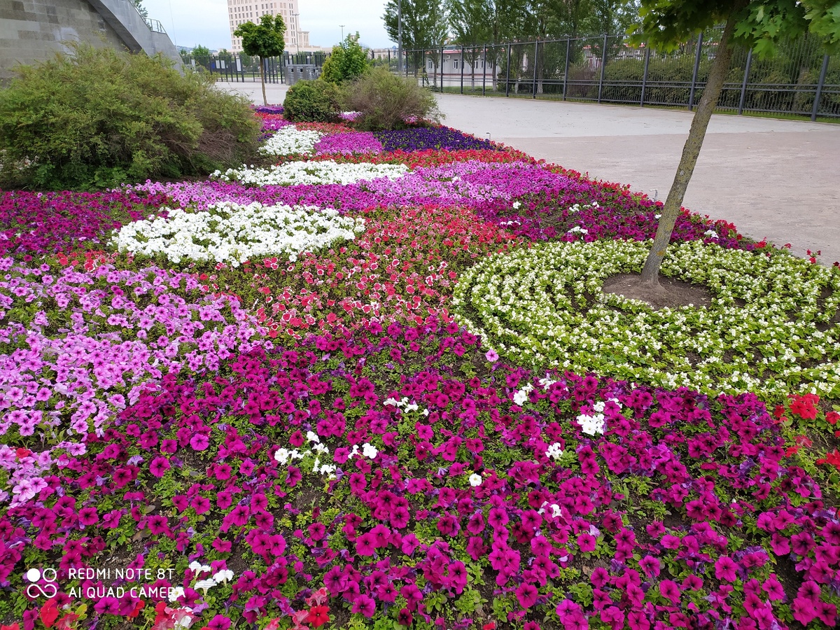 Эта красота стадиона