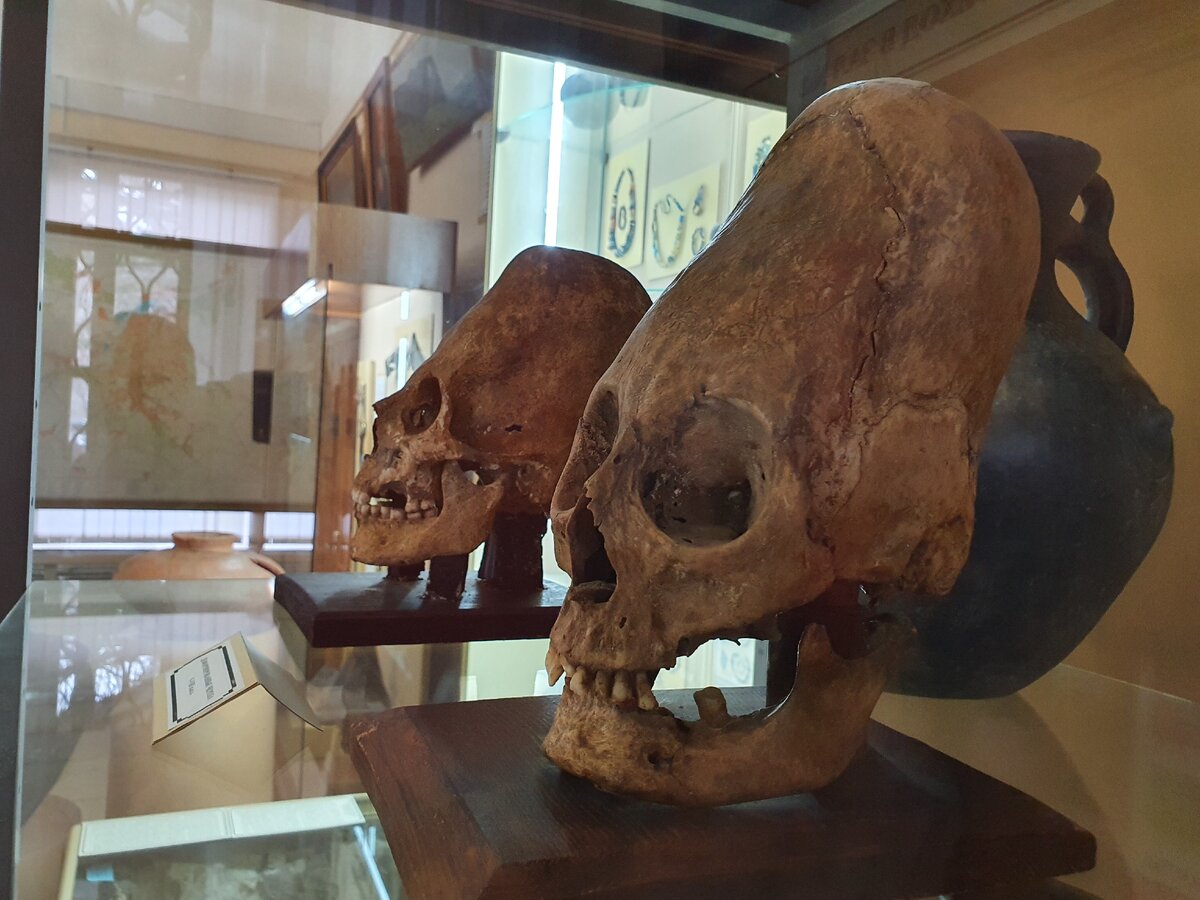 Вот они, симпатяжки