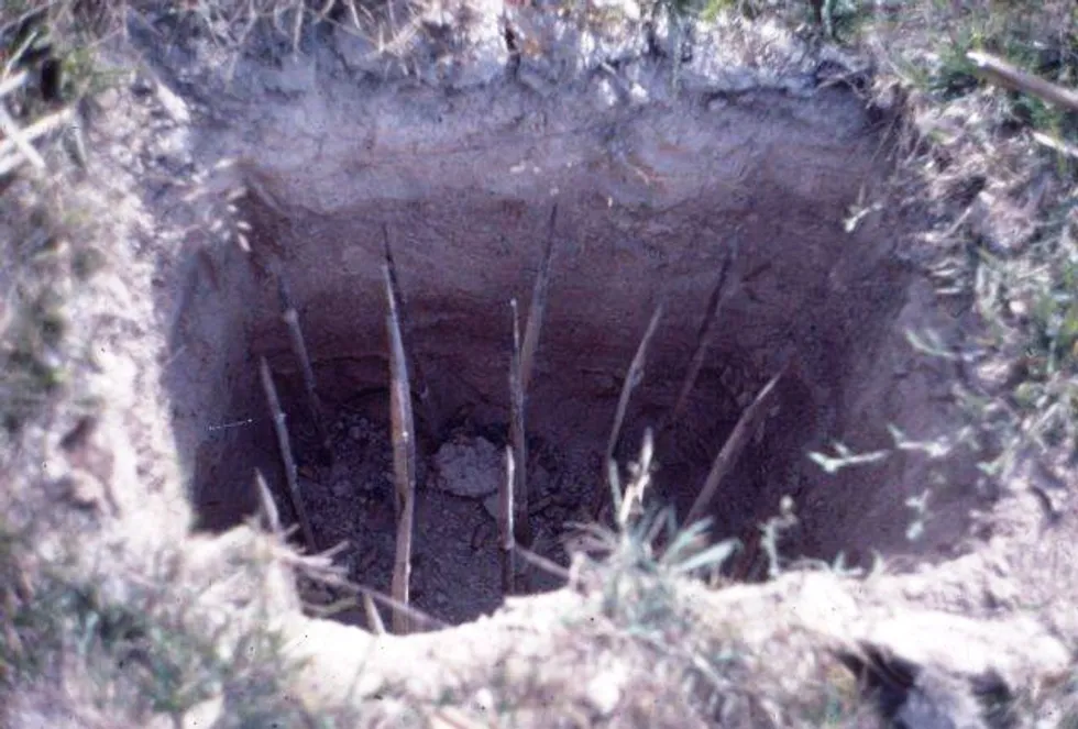 Между кольями. Палисад частокол. Древние ловушки. Между кольями. Фортификационные заграждения.