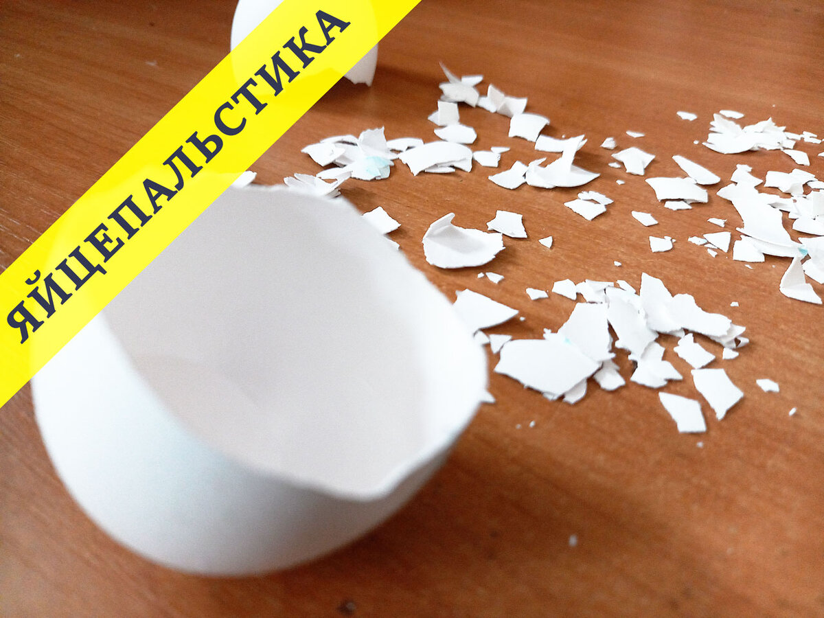 Игра со скорлупой