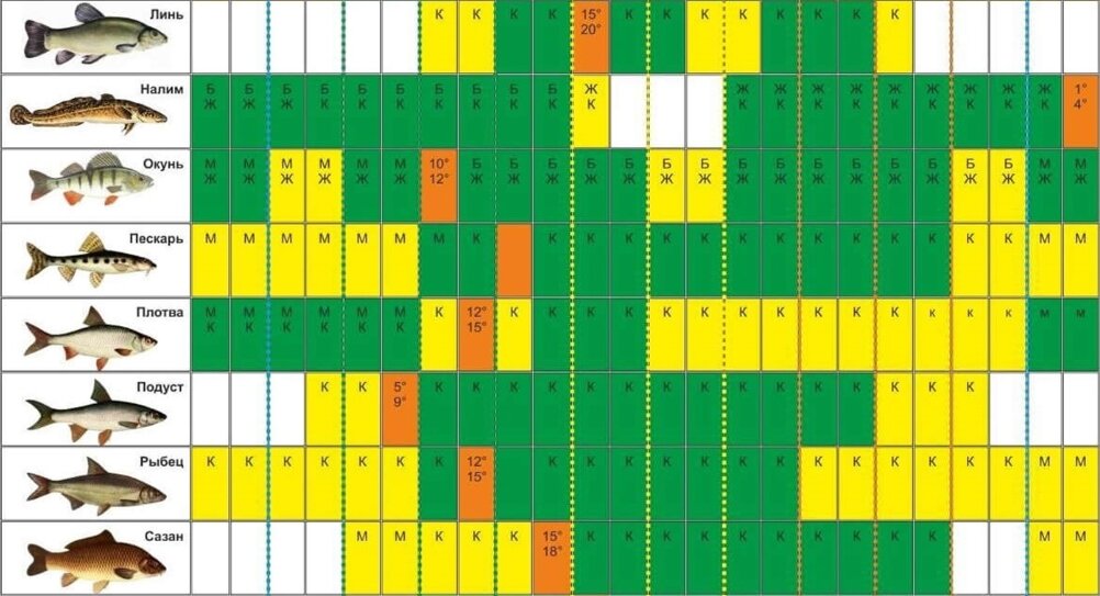 Календарь рыбака и рыболовные сезоны на Ахтубе - база отдыха Трёхречье (Ахтуба, 