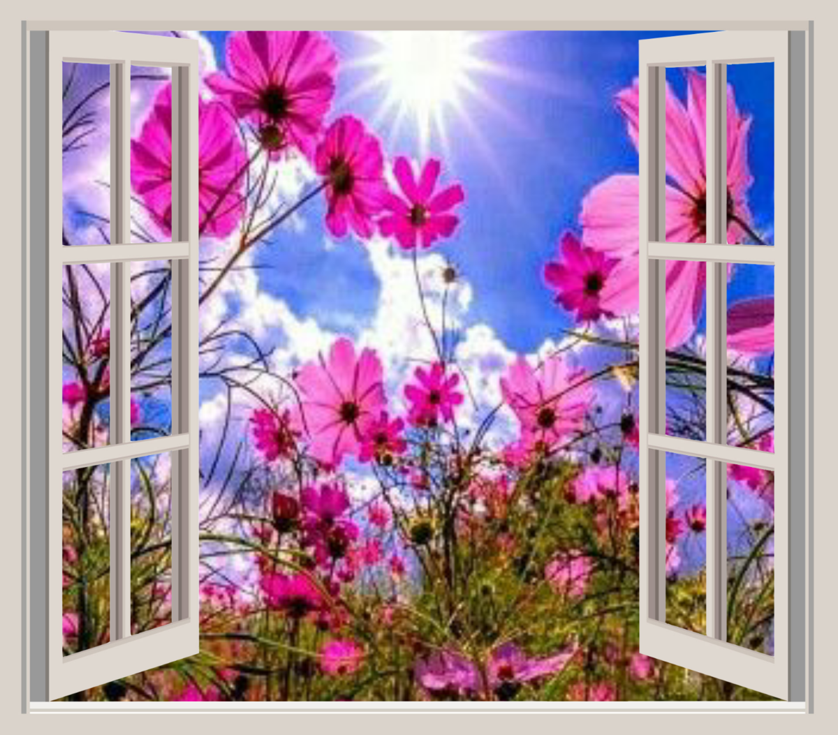 Фото взято из открытого источника.