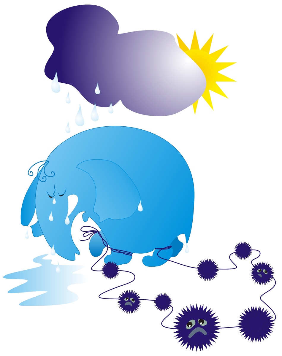 рисунки и стихи автора