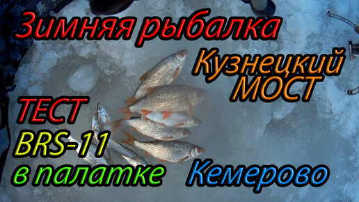 Зимняя рыбалка в Кемерово в районе Кузнецкого моста, разведка места, кругом чьи-то следы...