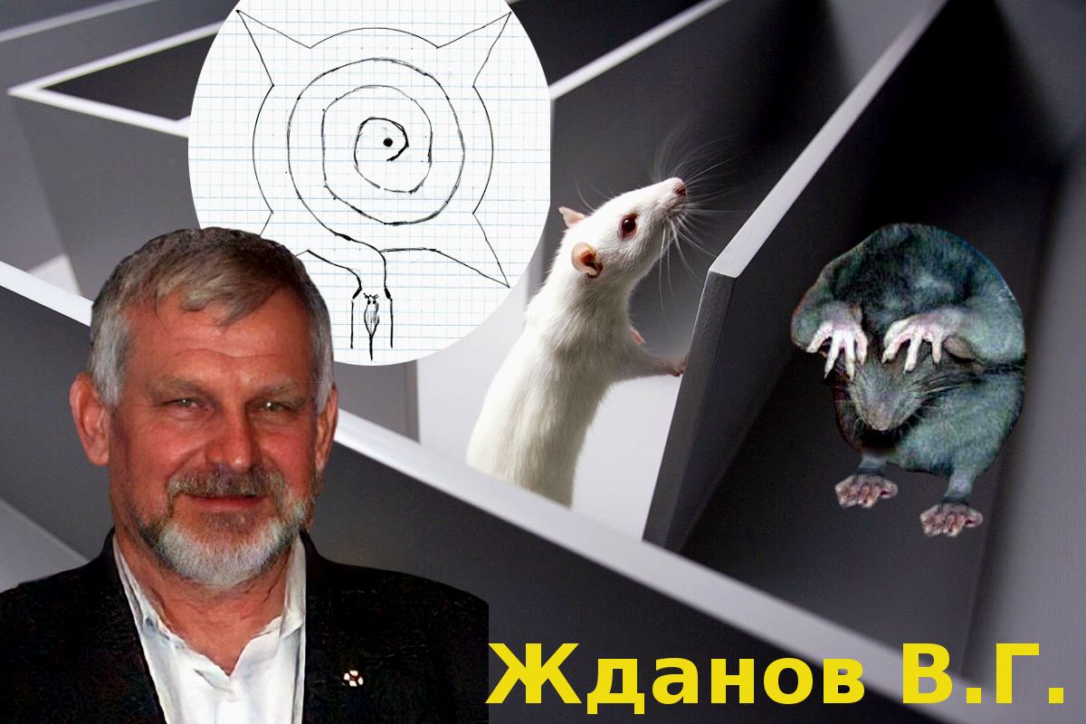 Жданов Владимир Георгиевич