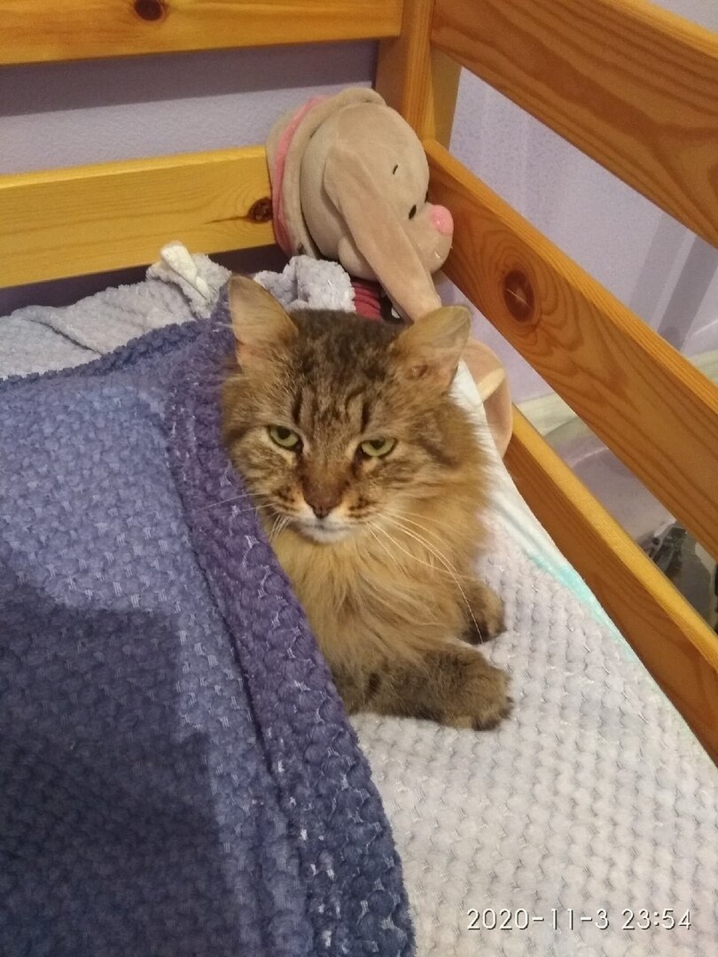 Каменский)