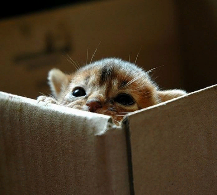 Источник фото Pinterest 