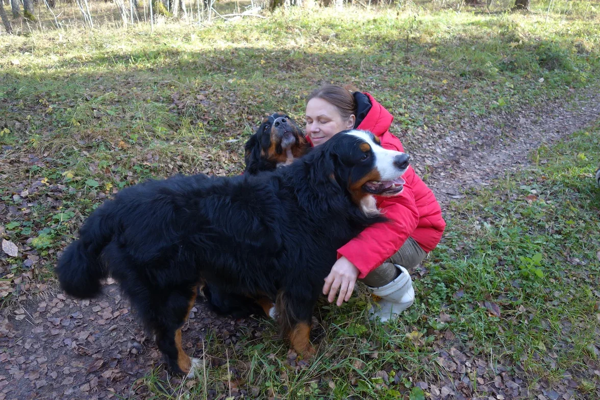 осень 2020 год