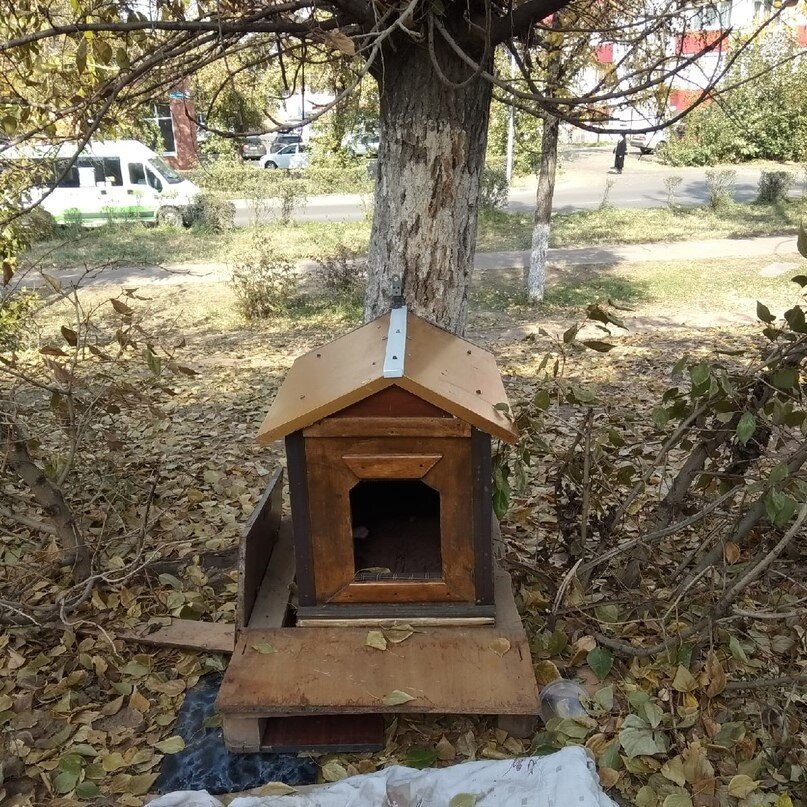 Домик Пончика