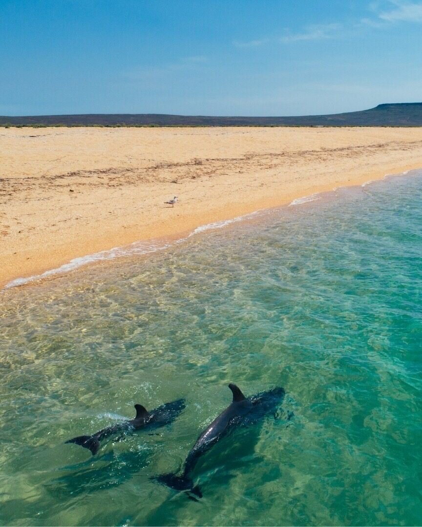 крым черное море отдых