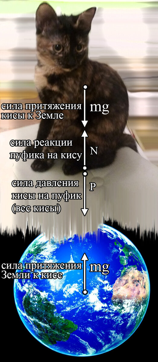 Силы, действующие в системе Котенок Гита - пуфик -Земля