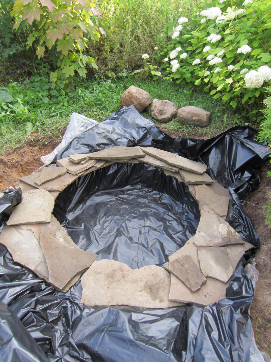 Строительство нашего прудика. Декорирование берега