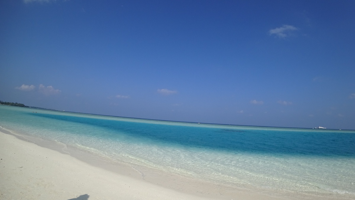 ООО Алоя Евро пул 