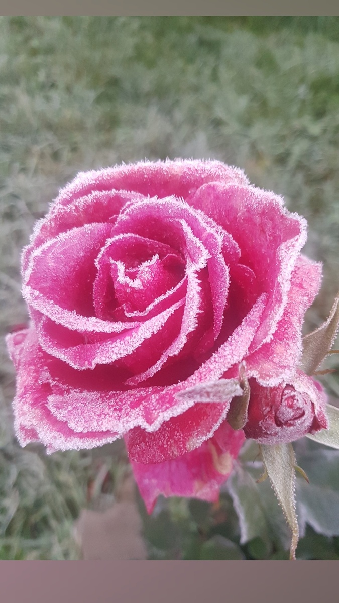 Хочешь продолжения,  пиши комментарий интересно или нет! Или ставь лайк! Мне интересно, понравиться ли кому либо мое новое направление в творчестве!  