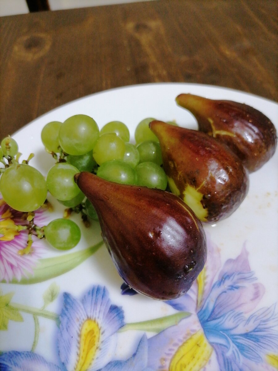 инжир и виноград