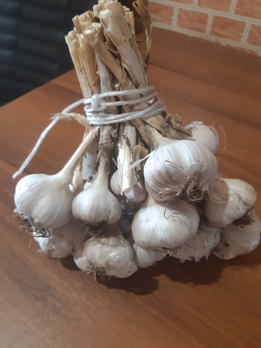 До отправки на хранение чеснок у меня связан в такие пучки, из них легче доставать головки, они не рассыпаются и занимают мало места (фото автора)