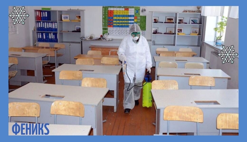 Срочно дезинфекция. Коллаж  на основе сервиса Яндекс. Картинки