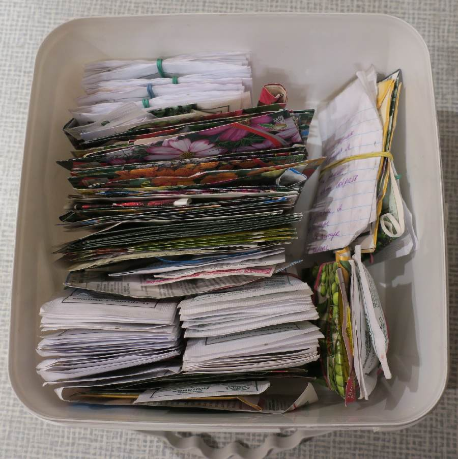 Почти у любого садовода есть старые пакеты с семенами